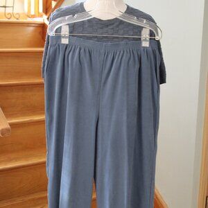 Alfred Dunner Women pant suit S 16 Blue Elastic Waist Pants free top